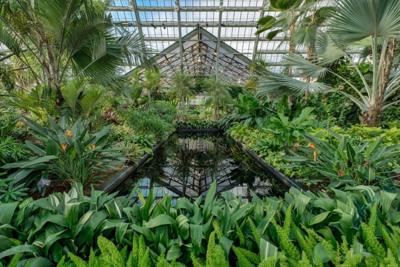 The interior of Garfield Park Conservatory