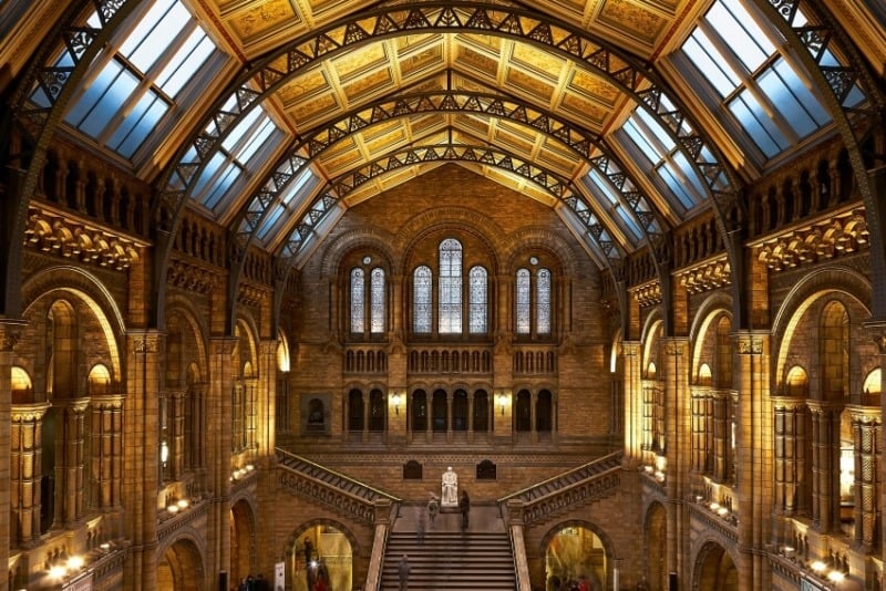 Dome and Interior of the Natural History Museum