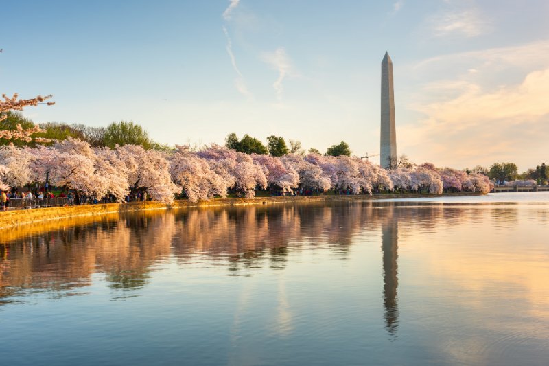 Spring in Washington Monument